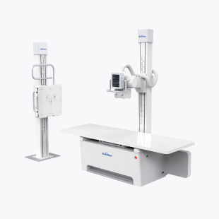 双立柱DR PerfoX 3000